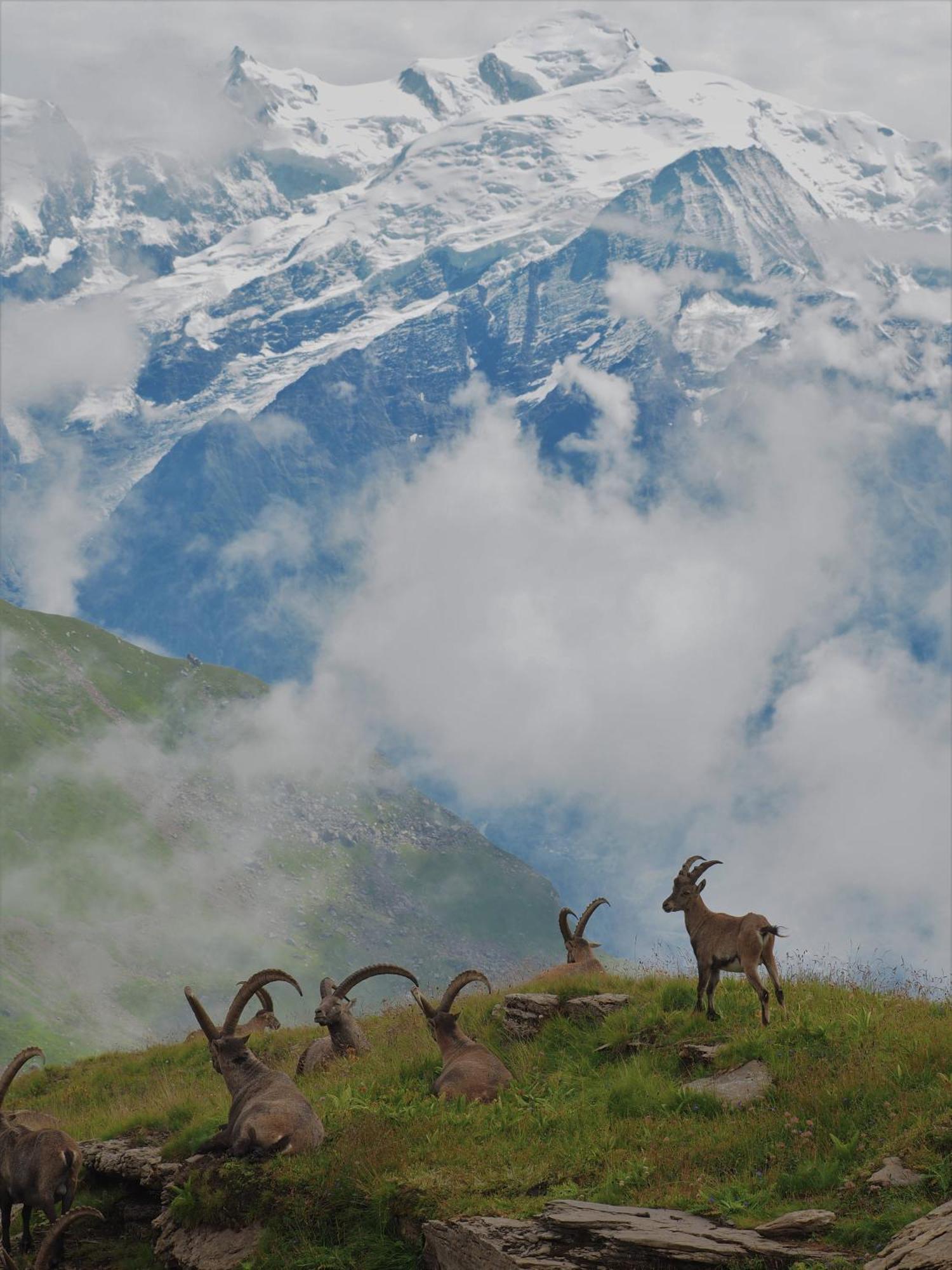 Appartamento Bellevue Centre, Wifi, Mountain View Les Carroz d'Araches Esterno foto
