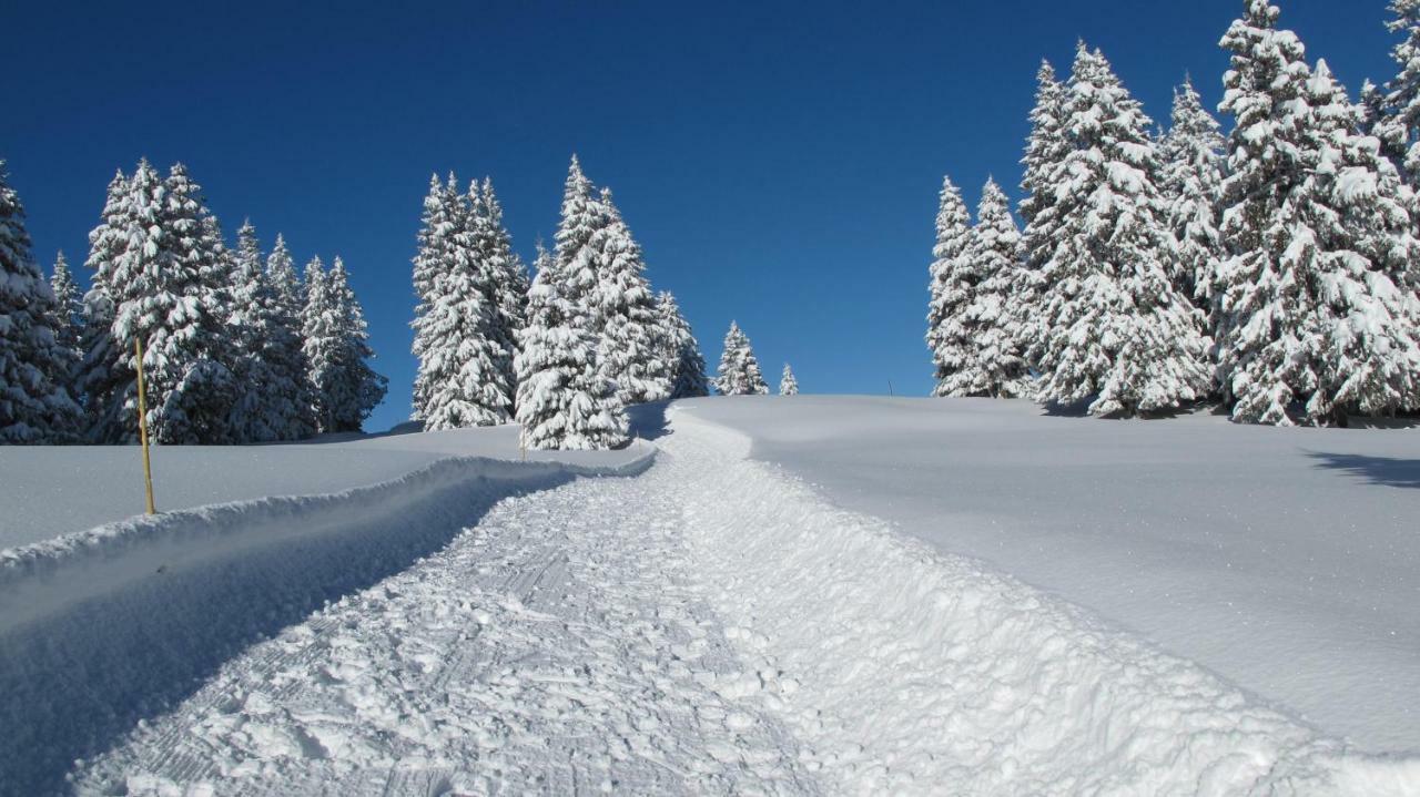 Appartamento Bellevue Centre, Wifi, Mountain View Les Carroz d'Araches Esterno foto