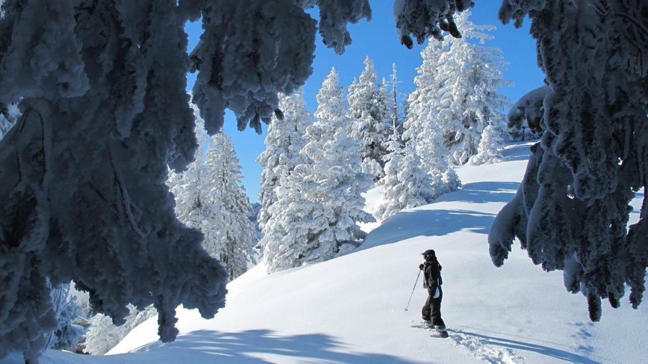 Appartamento Bellevue Centre, Wifi, Mountain View Les Carroz d'Araches Esterno foto