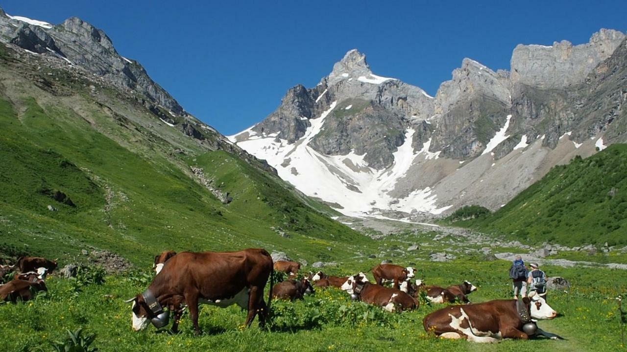 Appartamento Bellevue Centre, Wifi, Mountain View Les Carroz d'Araches Esterno foto